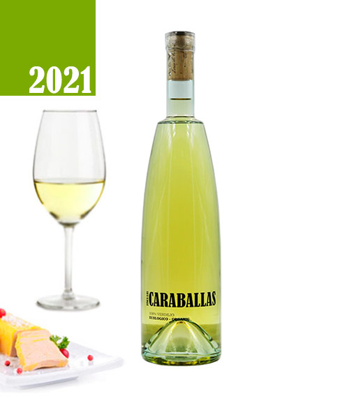Caraballas Verdejo Ecológico 2021 Organic Wine