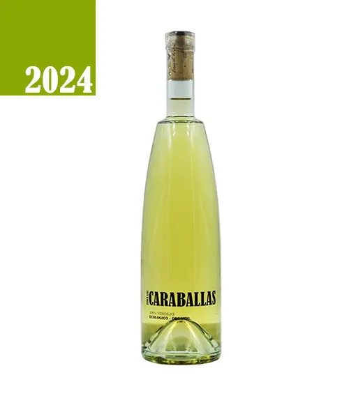 Caraballas Verdejo Ecológico 2024 Organic Wine